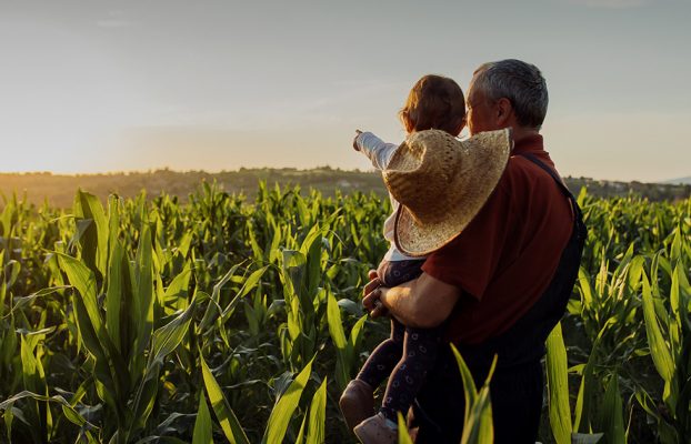 BES Hayallerinize Giden Yol